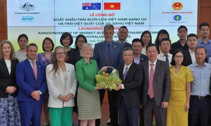 Vietnamese pomelos officially exported to Australia