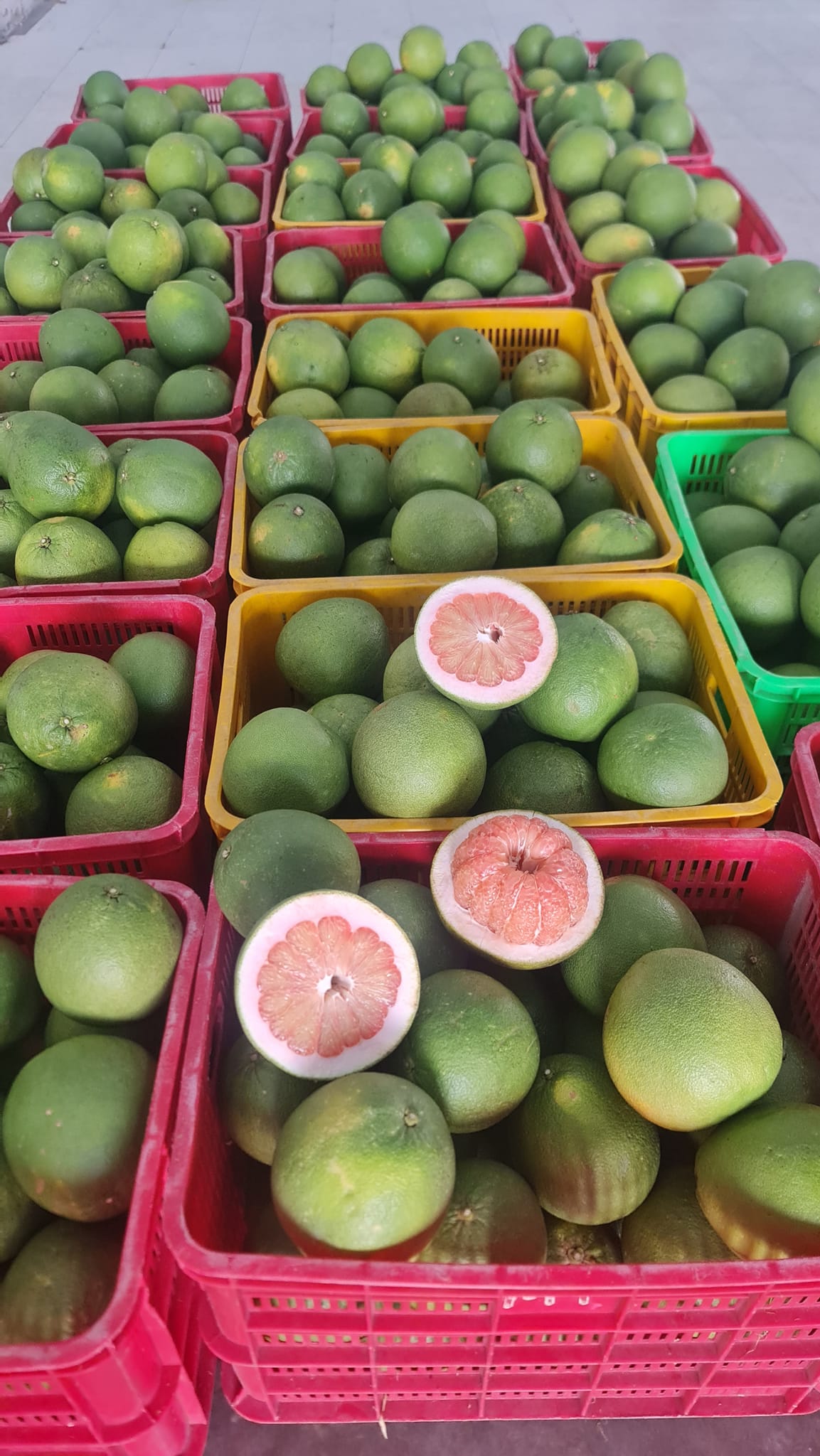 Green skin pomelo (Vietnamese: Bưởi da xanh)