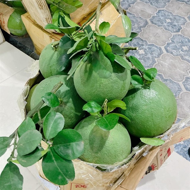 pomelo