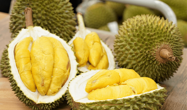 A farmer inspects durians