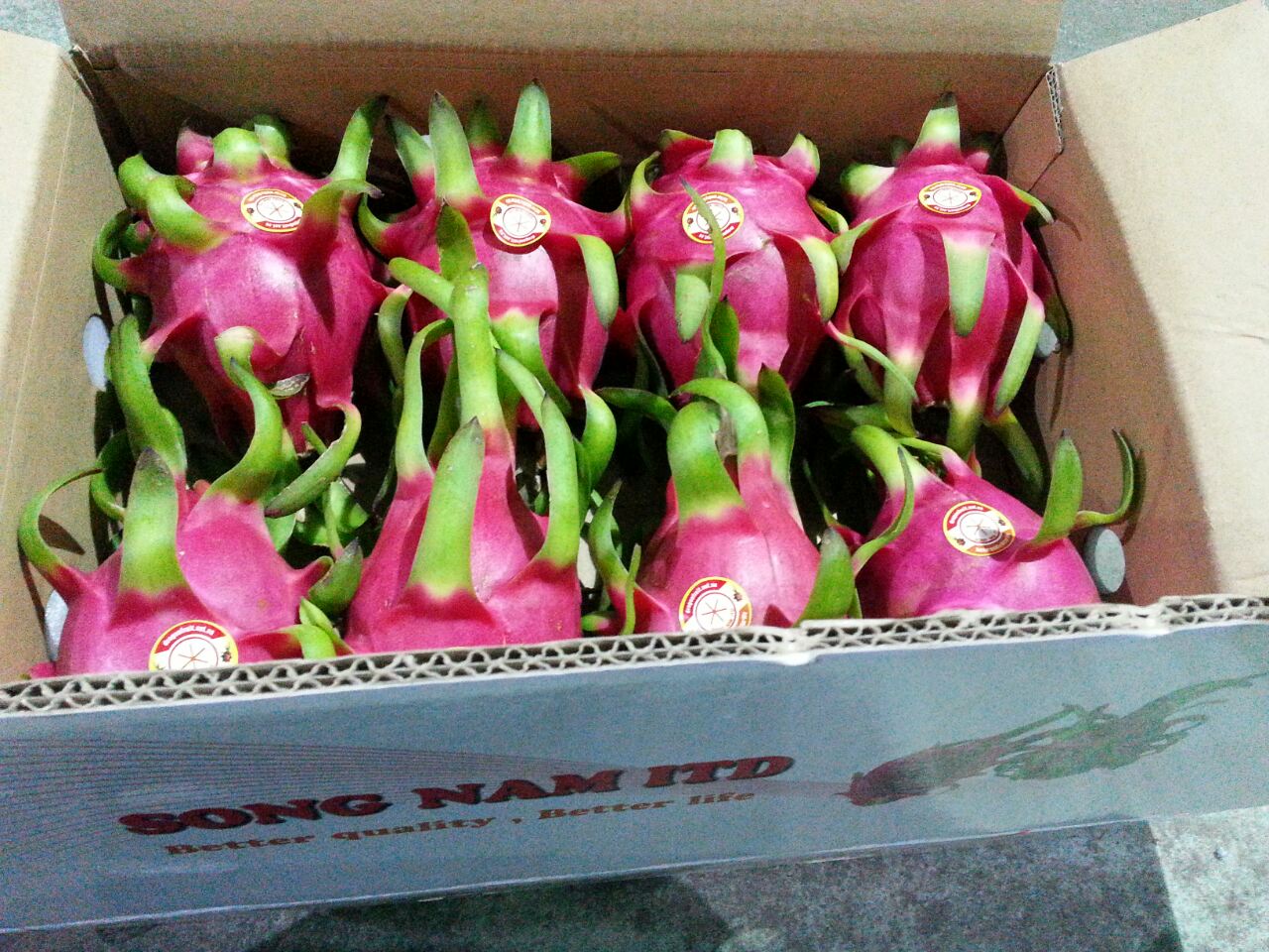 Red flesh vs white flesh dragon fruit: Which is better?