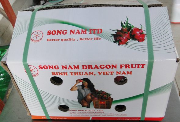 Viet Nam fresh dragon fruit for India market Viet Nam fresh dragon fruit for India market